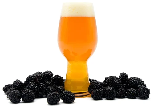 blackberry beer