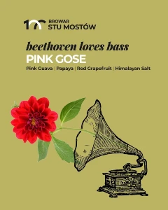 stu mostow beethoven loves bass